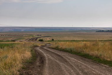Toprak yol ve kuru çim tarlası