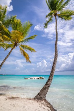 Saona adasında yarı batık bir yat. Dominik Cumhuriyeti, Saona adasındaki plaj.