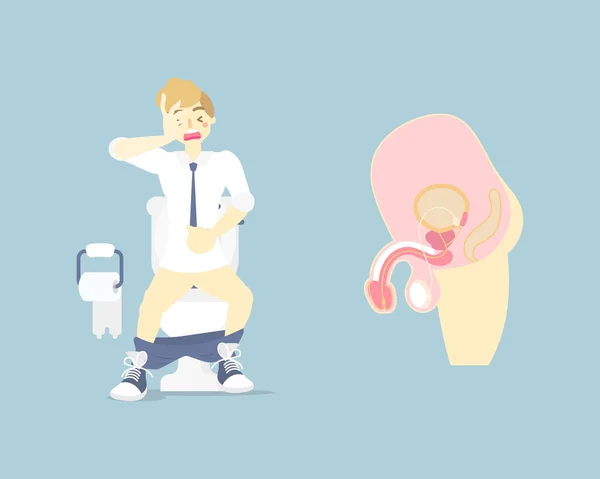 Mann Mit Toilettenspülung Magenschmerzen Durchfall Oder Verstopfung Männliches Fortpflanzungssystem Innere — Stockvektor