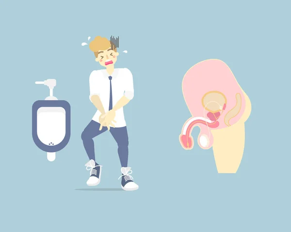 Man Needing Urinate Holding His Bladder Pee Health Care Concept — Stock Vector