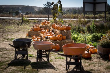 Kabak yama ve el arabası