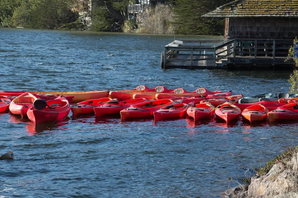 Kayaks moored at the water\'s edge