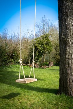 Bahçedeki ağaca salıncak