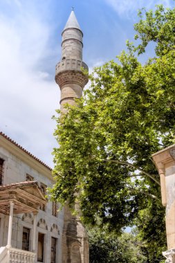 Hipokrat çınar ve İstanköy Gazzi Hassan Camii