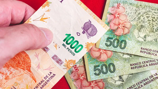 A person holding a 1000 peso banknote of the money of the Argentine currency, the Argentine peso, with other notes in the background. Photo for representation of economy and finance.