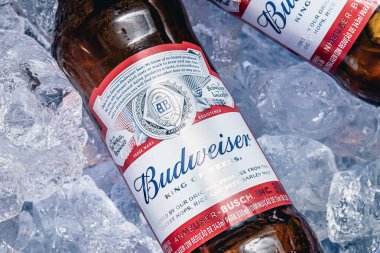 Brazil, Federal District - Brazil. September, 05, 2019. Photograph of two Budweiser beer bottles in an ice cooler.