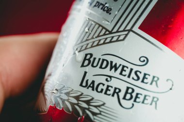 Budweiser, beer. Close-up photo of a man holding a can of Budweiser beer. Brasilia, Federal District - Brazil. December, 17, 2019.