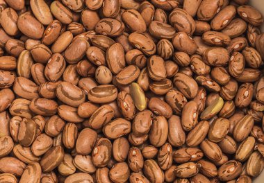 Close-up view of raw uncooked pinto beans
