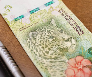 Arjantin Para Birimi 'nin (Arjantin Pezosu) 