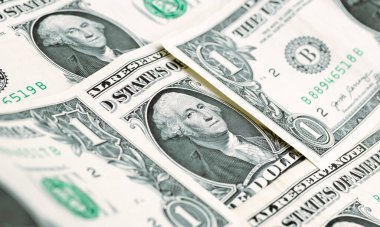 United States dollar banknotes in macro photography. Economy and finance concept.