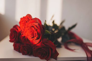 Parlak kırmızı güller, güneşli bir pencerenin yanında zarif bir şekilde açar. Sessiz bir öğleden sonra, sıcak ve sıcak bir ortamda güzelliğin özünü yakalar.