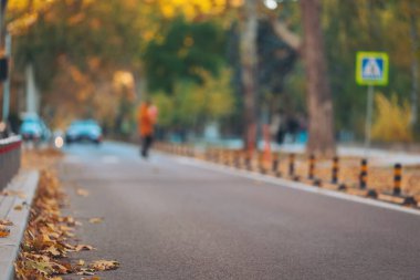 Renkli sonbahar yaprakları, sakin bir cadde boyunca koşar sıcak öğleden sonra ışığında huzurlu bir açık hava manzarası yaratır.