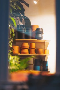 Parlak bir öğleden sonra rahat bir dükkanda çeşitli saksılar ve yeşilliklerle dolu raflar havadar atmosferi güçlendiren dokular ve renklerin bir karışımını sergiliyor.