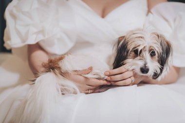 Dog sits on lap of person wearing white dress in indoor setting with soft light during daytime, creating a cozy and warm atmosphere for their moment together