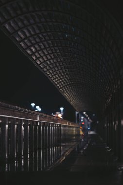 Sahne, ıslak yüzeydeki yansımalarla kaplı uzun bir yürüyüş yolunu gösteriyor. Sokak ışıkları ve uzak işaretler şehir yaşamına dair bir ipucu yaratır. Atmosfer yağmurdan sonraki sessizliği gösteriyor.