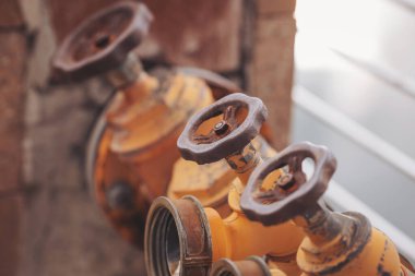 Eski bir endüstriyel ortamda, üç paslı sarı valf yıpranmış tuğla bir duvarın karşısında oturur, zamanın esansını yakalar ve çürüyen güzelliği, merakı ve hikayeleri cezbeder.