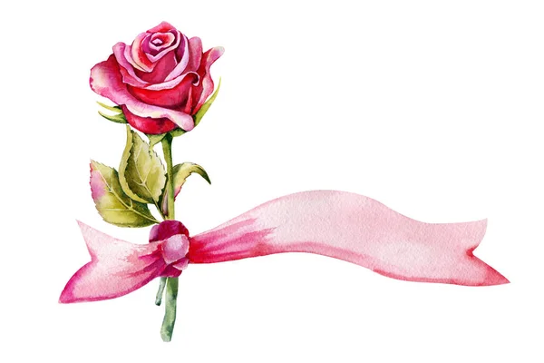 Buquê Rosas Com Fita Clipart Aquarela Desenhado Mão Isolado Fundo — Fotografia de Stock