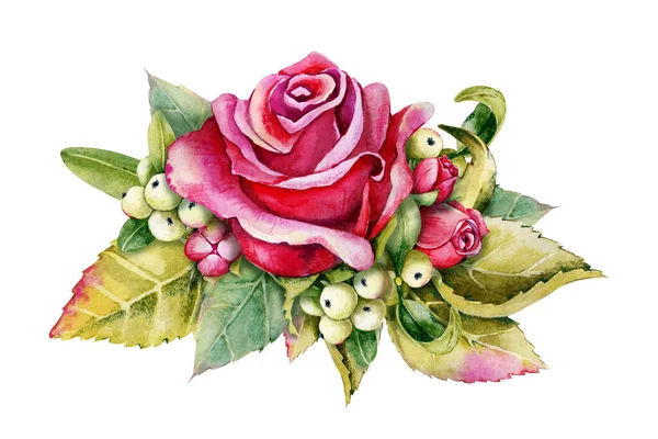 Pivoňka Růžový Pupen Ruční Akvarel Ilustrace Izolované Bílém Pozadí Design — Stock fotografie