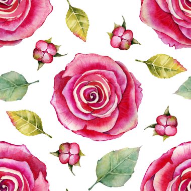 Gül tomurcukları ve yapraklarla kusursuz desen. Beyaz arka planda suluboya resim. Şal, mendil, düğünler, elbiseler, kumaşlar, duvar kağıtları, desen, dijital kağıt, kostüm tasarımı için..