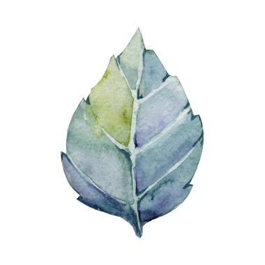 Bir buket çiçeğe karşılık yeşil yaprak. Beyaz arkaplanda el yapımı suluboya çizimi var. Düğün baskısı için tasarım: Davetiye, tebrikler, Clipart, kartpostal