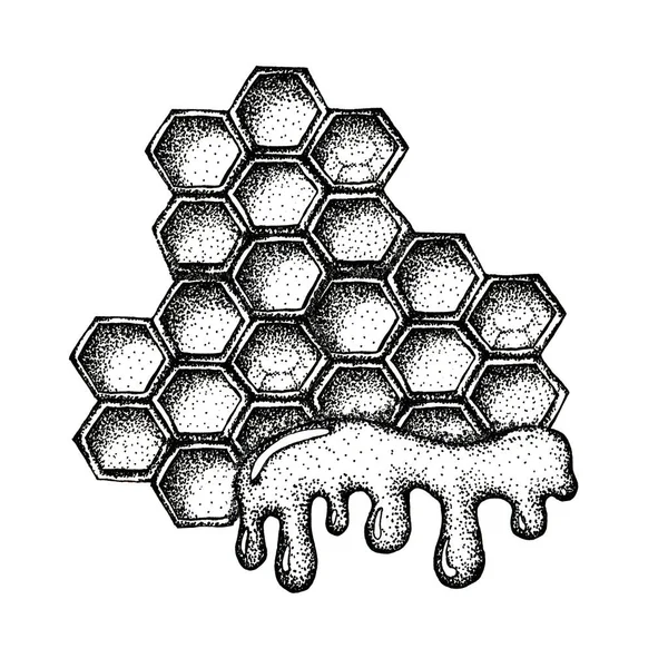 Honungskaka med honung, biprodukt isolerad på vit bakgrund. Närbild grafisk illustration. Förpackning och emballage design för honung, livsmedelsindustri, biodlare — Stockfoto