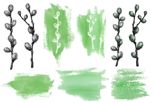 Set with pussy willow twigs on watercolor spots. Hand drawn black and white graphic illustrations isolated on white background. Design banner, background, postcards — Φωτογραφία Αρχείου