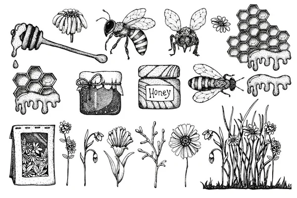 Ensemble de miel, abeille et guêpe, nid d'abeille, herbes de champ, pot, emballage pour le produit. Illustration noir graphique dessinée à la main isolée sur fond blanc — Photo