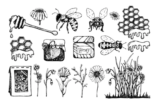 Conjunto de miel, abeja y avispa, panal, hierbas de campo, frasco, embalaje para el producto. Ilustración gráfica vectorial negra dibujada a mano aislada sobre fondo blanco — Archivo Imágenes Vectoriales