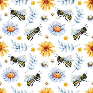 Arı, yaban arısı, bal, otlar, papatya ve takviyeli dijital kağıt deseni. Beyaz arkaplanda el çizimi suluboya çizimi.
