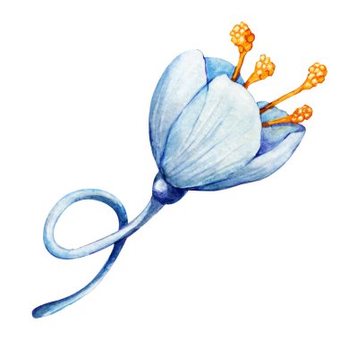 Mavi çan çiçeği, şakayık. El boyası çizimi beyaz arkaplanda izole edilmiş. Düğün baskısı için tasarım, davetiye, tebrikler, Clipart, kartpostal, doğum günü