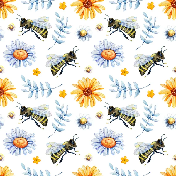 Digital paper seamless pattern with bee wasp, bumblebee, honey, field herbs, chamomile, calendula. Hand drawn watercolor illustration isolated on white background.