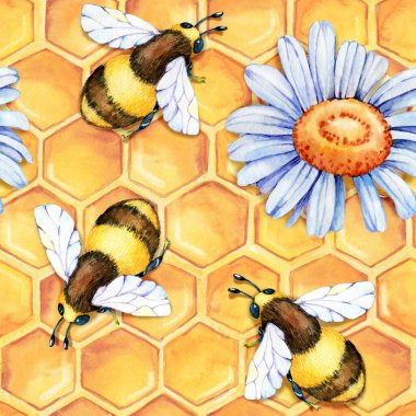 Arı, yaban arısı, bal, otlar, papatya ve takviyeli dijital kağıt deseni. Beyaz arkaplanda el çizimi suluboya çizimi