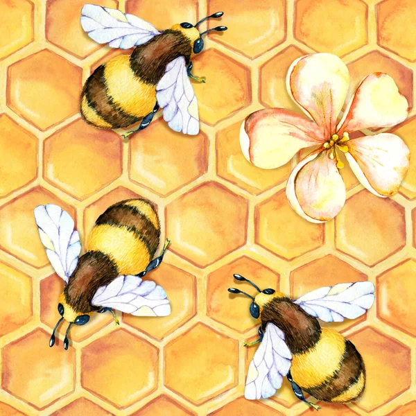 Modello digitale senza cuciture di carta con vespa d'api, calabrone, miele, erbe di campo, camomilla, calendula. Illustrazione ad acquerello disegnata a mano isolata su sfondo bianco — Foto Stock
