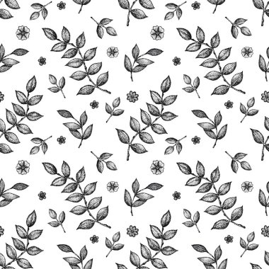 Suluboya ve çiçeklerle kusursuz desen. Arka plan, kapak, baskı, çıkartma, şablon, kozmetik ürünler, davetiye, tebrik kartı tasarımı için altın içeren beyaz bir arkaplan üzerine el çizimi izole edilmiş illüstrasyon.