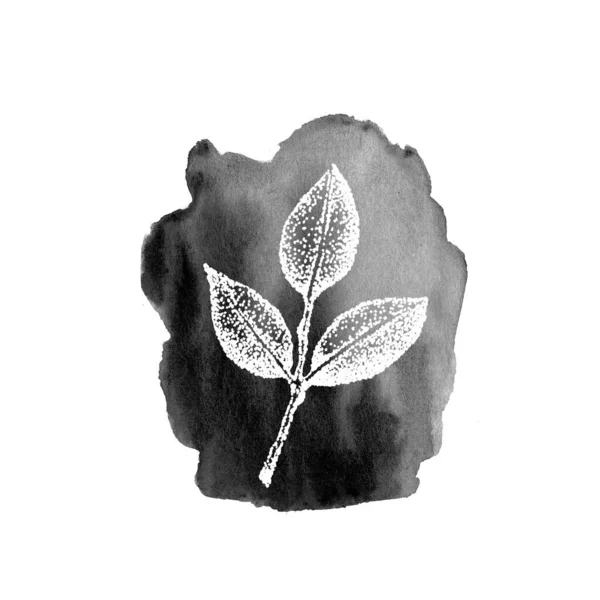Ramoscelli grafici con foglie su uno sfondo nero acquerello strutturato. Illustrazione disegnata a mano per il design del modello, social media, copertina, tessuto, imballaggio, carta da parati — Foto Stock