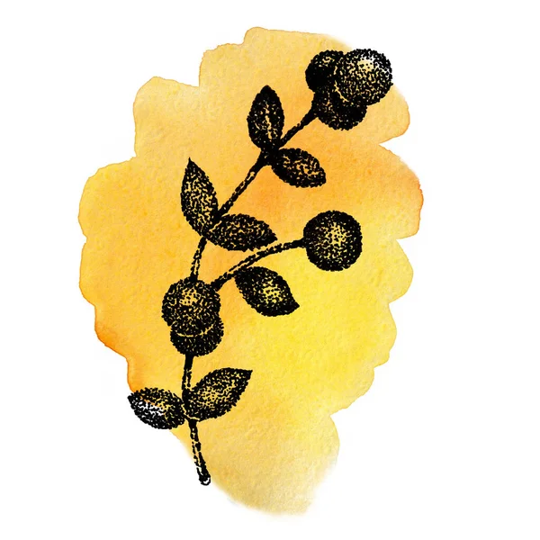 Ramitas gráficas con hojas sobre un fondo amarillo con textura de acuarela. Ilustración dibujada a mano para el diseño de plantillas, redes sociales, cubierta, tela, embalaje, papel pintado — Foto de Stock