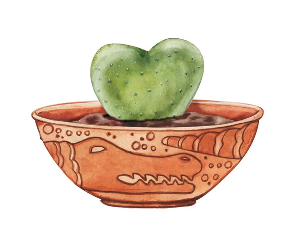 Sukkulente Pflanze, grüner Kaktus in Herzform, tropische Pflanzen in einem ethnischen Keramiktopf, Bild eines Krokodils Handgezeichnete Aquarell-Illustration isoliert, weißer Hintergrund Nahaufnahme — Stockfoto