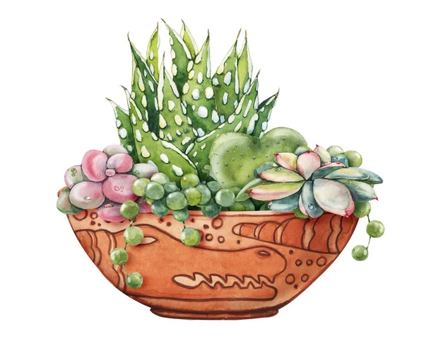 Ροζ χυμώδες φυτό, πράσινο κάκτος, τροπικά φυτά με σταγόνες δροσιάς σε μια κεραμική εθνοτική κατσαρόλα. Χειροποίητη ακουαρέλα που απομονώνεται σε λευκό φόντο. — Φωτογραφία Αρχείου