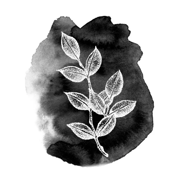 Grafiska kvistar med blad på en svart akvarell strukturerad bakgrund. Handritad illustration för mall design, sociala medier, omslag, tyg, förpackning, tapet — Stockfoto