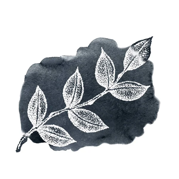 黒い水彩の質感の背景に葉を持つグラフィック小枝。手描きイラストテンプレートデザイン,ソーシャルメディア,カバー,生地,パッケージ,壁紙 — ストック写真