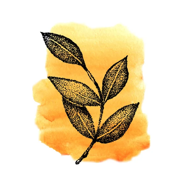 Ramitas gráficas con hojas sobre un fondo amarillo con textura de acuarela. Ilustración dibujada a mano para el diseño de plantillas, redes sociales, cubierta, tela, embalaje, papel pintado —  Fotos de Stock