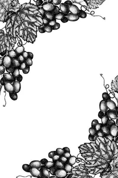 Grapes frame, grape border with leaves. Hand drawn black and white illustration, graphic drawing. Winemaking print product design, background, template — Stock Photo, Image