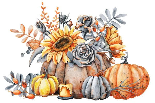 Balkabağında sonbahar buketi, ayçiçeği çiçekleri, klasik siyah güller, yapraklar, mum, gül kalçalar. Şükran Günü, Cadılar Bayramı tasarım şablonu. Beyaz arkaplanda el çizimi suluboya çizimi