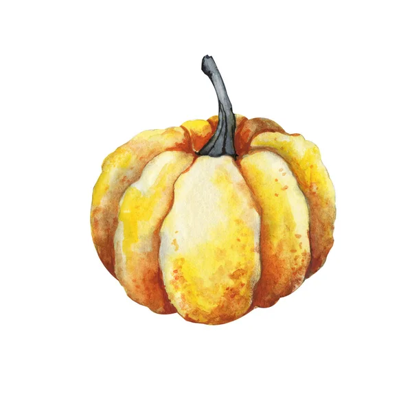 Citrouille jaune gros plan isolé sur fond blanc. Illustration aquarelle dessinée à la main. Conception du produit sur le thème de l'automne doré et Halloween heureux, nourriture et menu — Photo