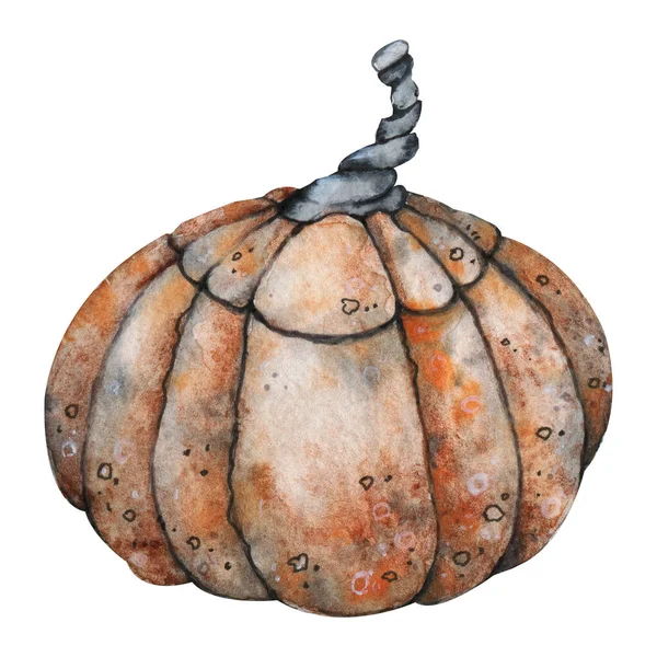 Dojrzałe pomarańczowe zbliżenie dyni izolowane na białym tle. Ręcznie rysowane ilustracja akwarela. Projekt produktu na temat złotej jesieni i szczęśliwego Halloween, żywności i menu — Zdjęcie stockowe