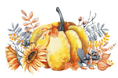 Balkabağı, ayçiçeği ve düşen yapraklar. Şükran Günü ve Cadılar Bayramı tasarım şablonu. Merhaba sonbahar illüstrasyonu. Hasat festivali. Beyaz arkaplanda el çizimi suluboya çizimi