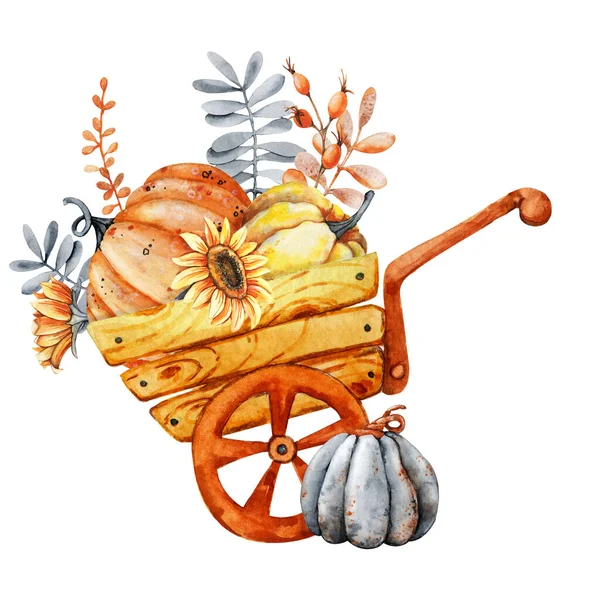 Herbsternte mit Schubkarre, Bollerwagen, Kürbissen und Sonnenblumen. Vorlage für Thanksgiving und Halloween. Hallo Herbst. Handgezeichnete Aquarellzeichnung isoliert auf weißem Hintergrund — Stockfoto