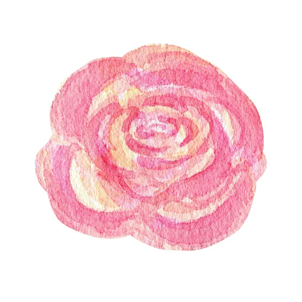 Akvarell rosa ros blomma, sommar blommigt element handmålning isolerad illustration på vit bakgrund. Gör ditt gratulationskort, inbjudan, affisch, banner design — Stockfoto