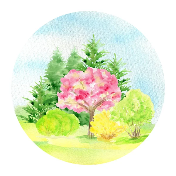 Acquerello Primavera paesaggio, sakura rosa fiori alberi e giallo forsythia cespuglio, Verde natura foresta paesaggio, paesaggio illustrazione isolato su sfondo bianco — Foto Stock
