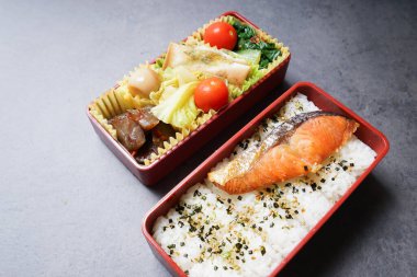 Ev yapımı beslenme çantası, kapat.